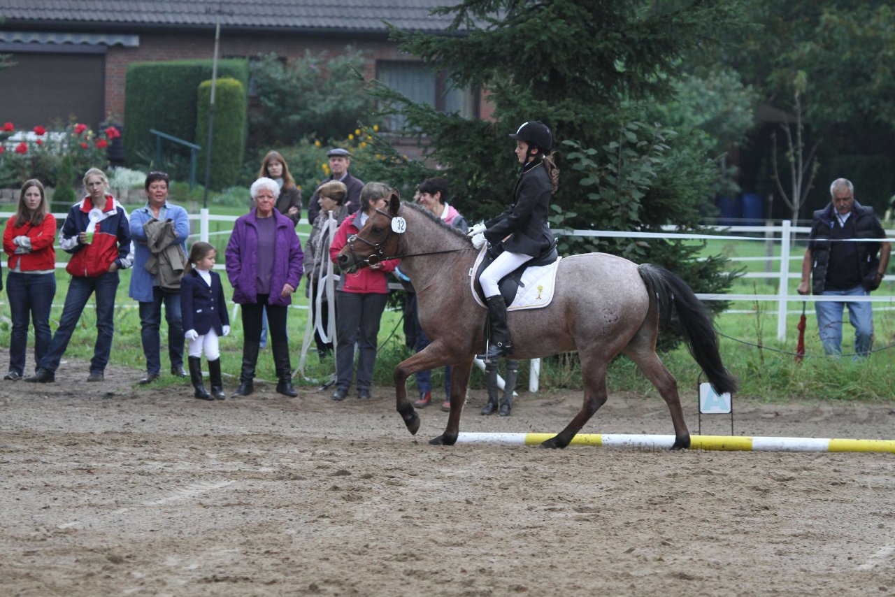 Bild 260 - WBO-Turnier am 18.9.11